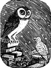 The Owl (giclée only)